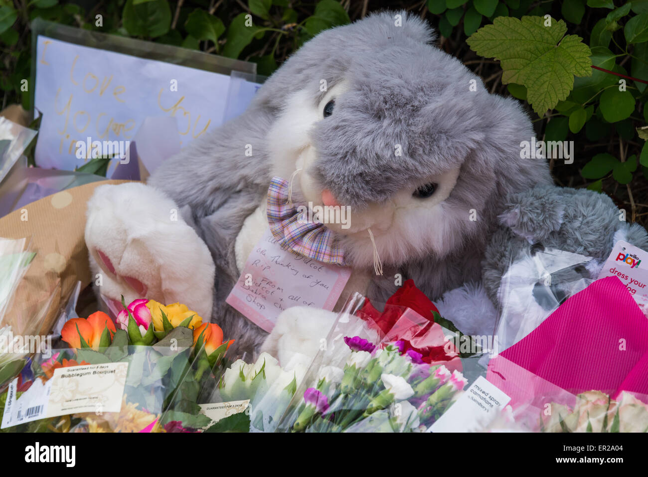 Didcot, Oxfordshire, UK. 25th May, 2015. Soft toys and flowers left on Vicarage Road from all of Didcot as tribute in memory of Mr Howard, Ms Jordon and 6 year old Derin. Credit:  NiKreative/Alamy Live News Stock Photo
