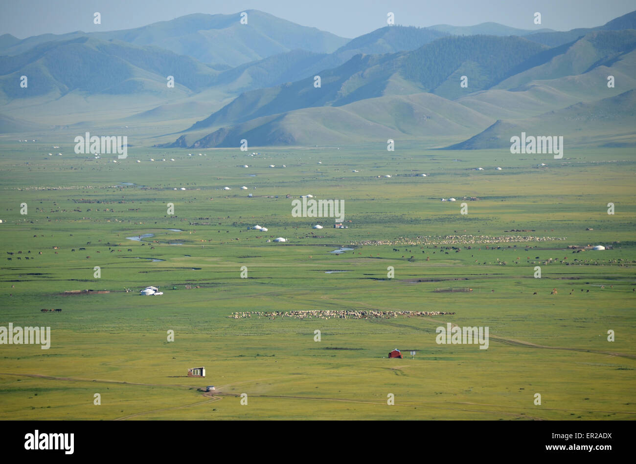 Yurts in the steppe north of Ulan Bator, Tov province, Mongolia Stock ...