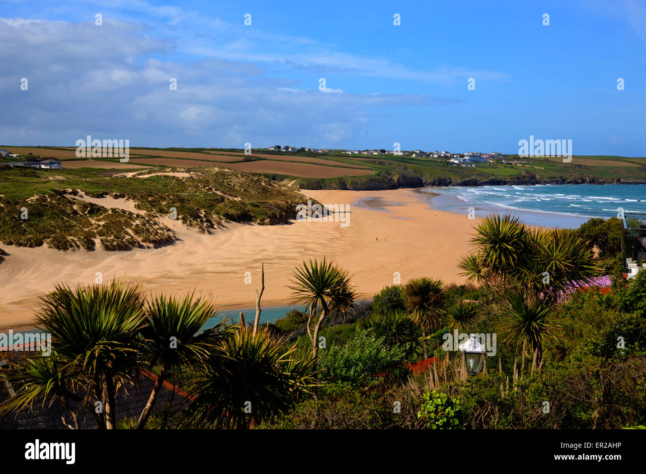 Crantock beach North Cornwall England UK near Newquay with palm trees and blue sky and sea in spring Stock Photo