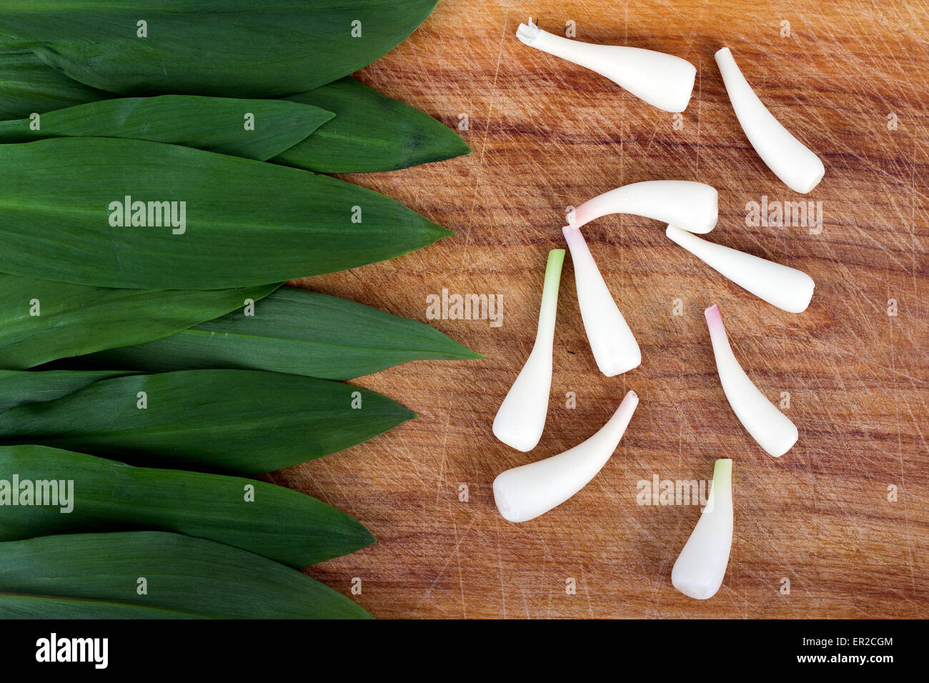 wild garlic Allium tricoccum on wood background Stock Photo