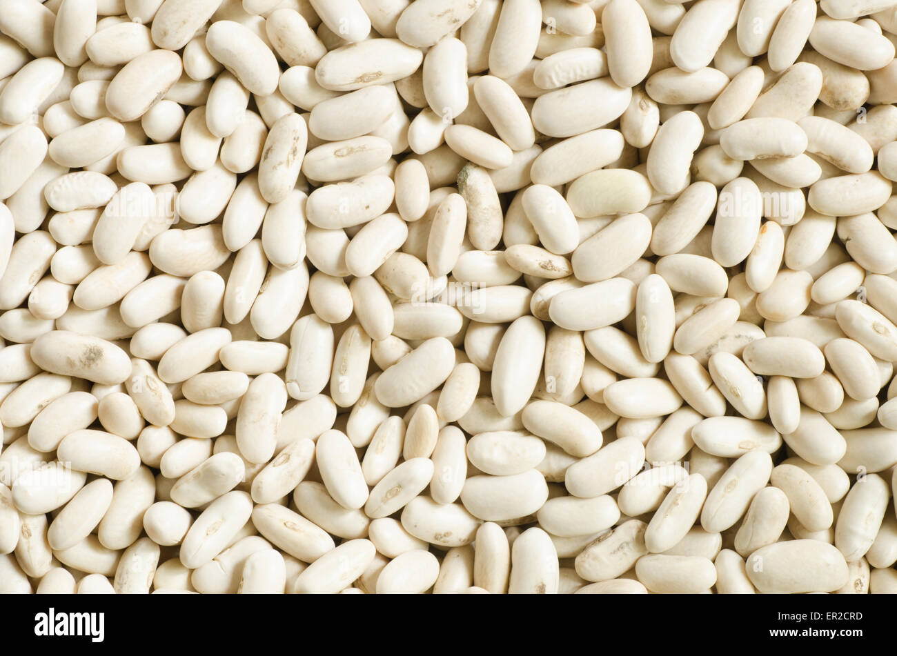 Bean seeds hires stock photography and images Alamy