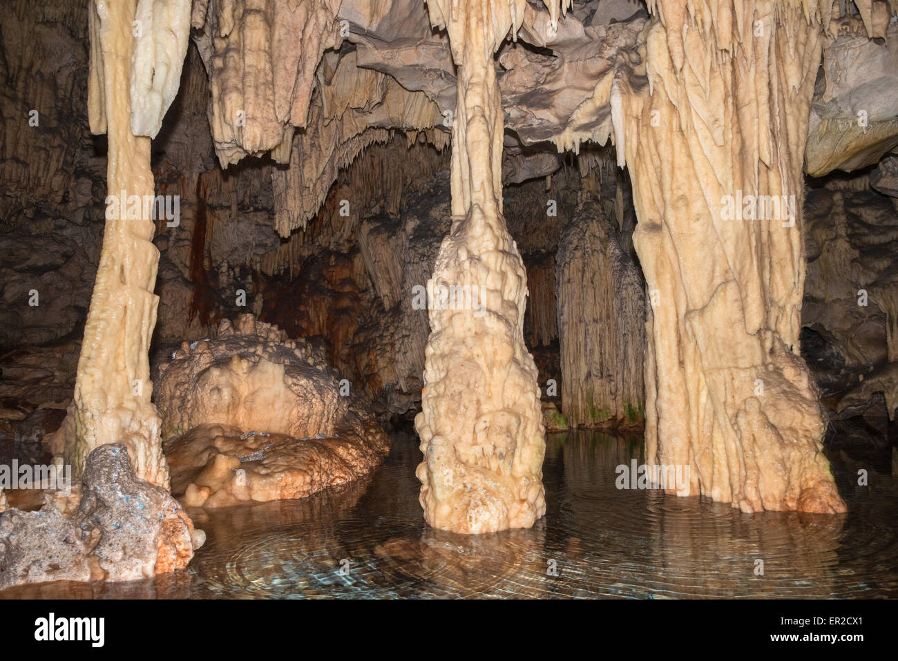 Calcium carbonate deposits, stalactites,  in Diros cave near Pirgos Dirou in the Deep Mani, Southern Peloponnese, Greece Stock Photo