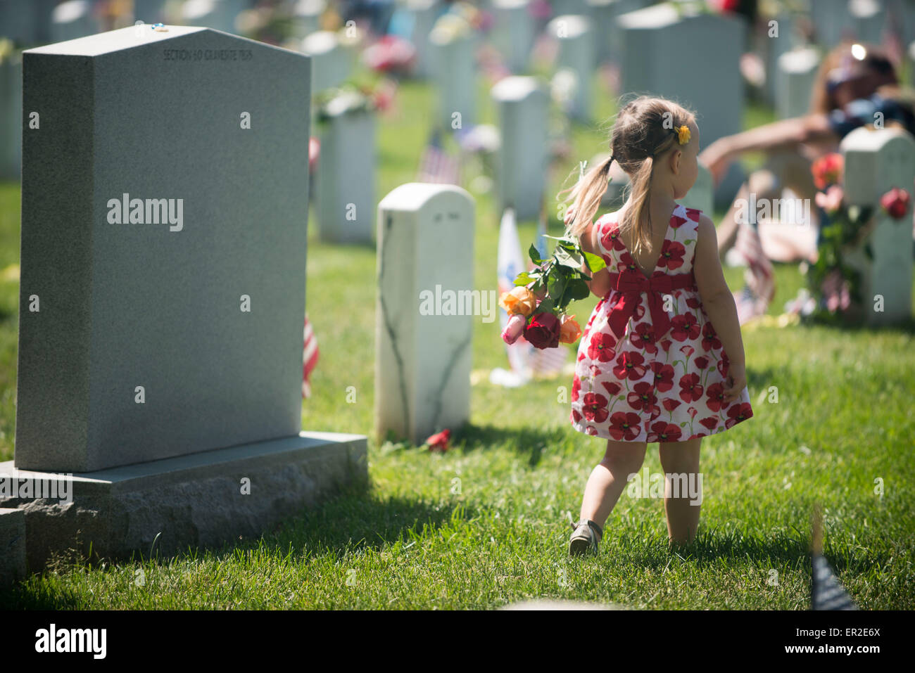Arlington, Virginia, USA. 25th May, 2015. Genevieve Kynaston, 3, carries roses as she walks past grave markers in Arlington National Cemetery on Memorial Day May 25, 2015 in Arlington, Virginia. Credit:  Planetpix/Alamy Live News Stock Photo