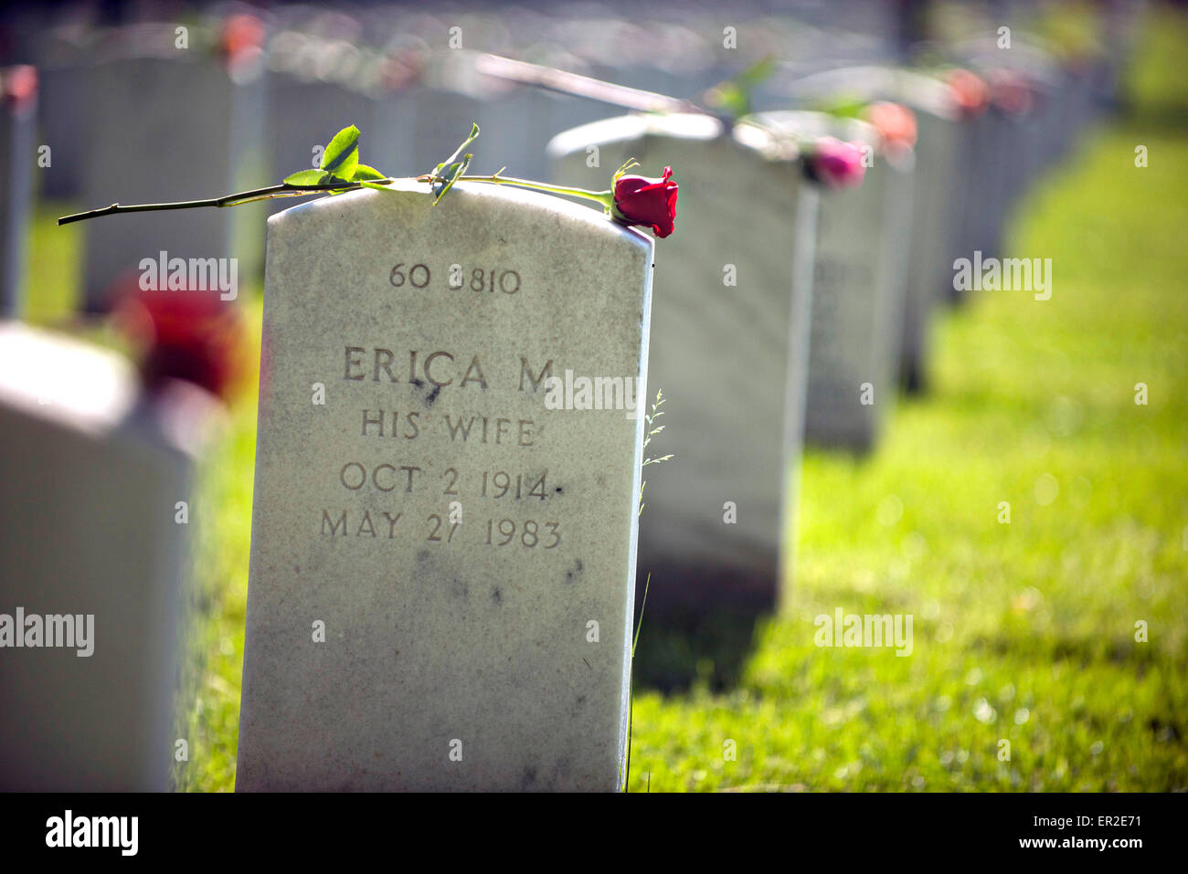 Arlington, Virginia, USA. 25th May, 2015. Roses and American flags adorn the headstones of fallen soldiers at Arlington National Cemetery on Memorial Day May 25, 2015 in Arlington, Virginia. Credit:  Planetpix/Alamy Live News Stock Photo
