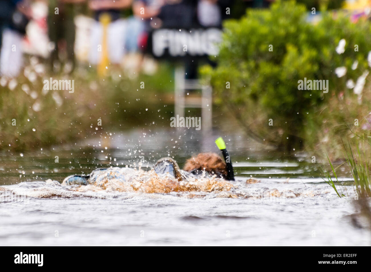 A man competes in a Bog Snorkling competition Stock Photo