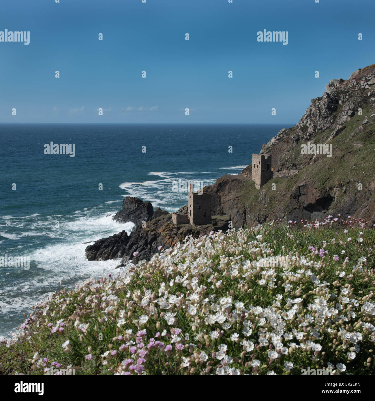 Cliffside flowers hires stock photography and images Alamy