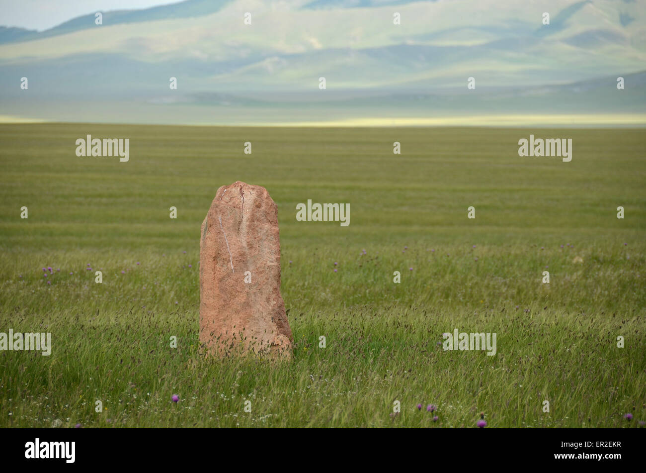 A deer stone in the Ovsgol province, northern Mongolia. Stock Photo