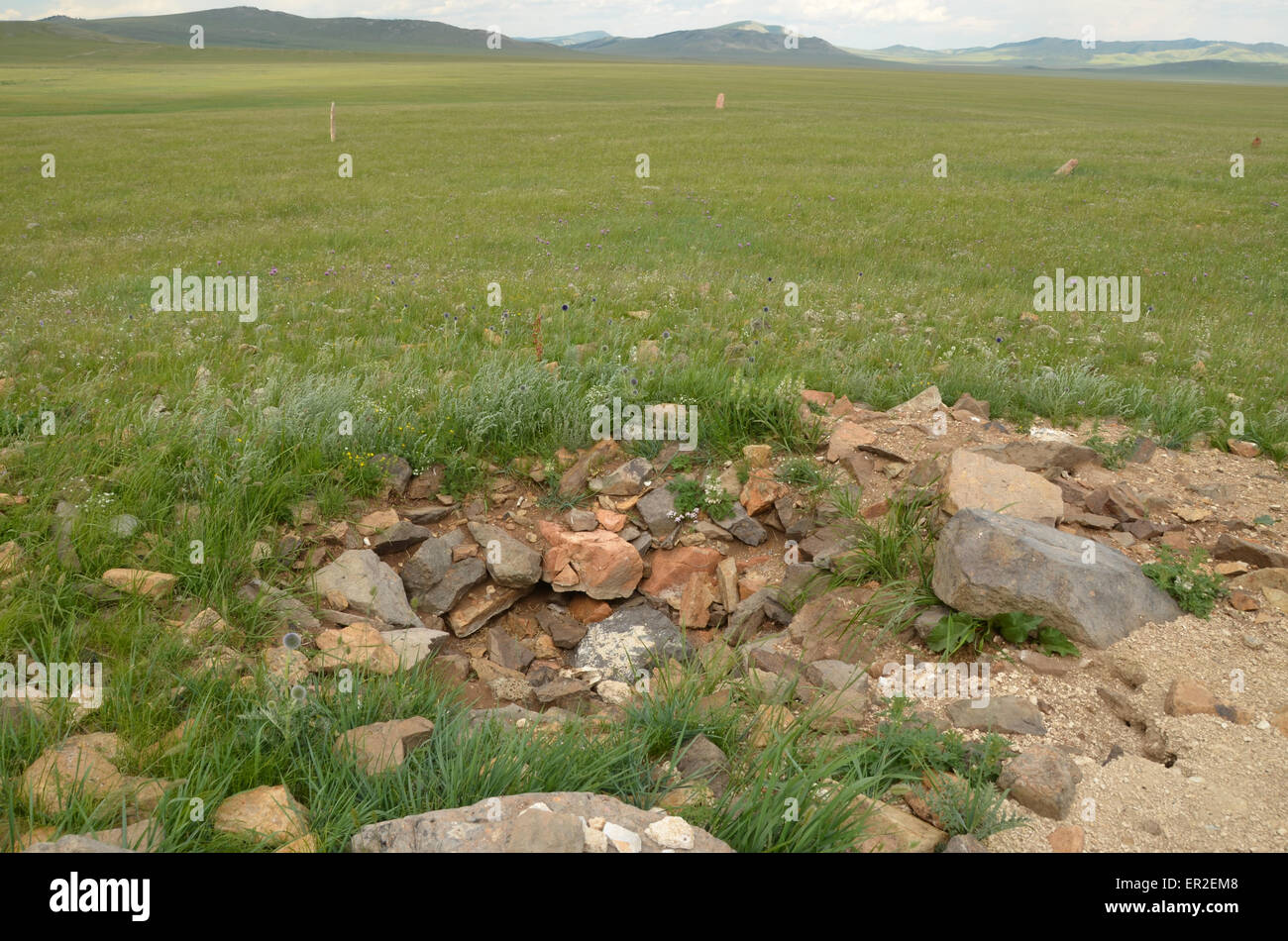 Deer stones viewed from the top of a burial mound in the Ovsgol province, northern Mongolia. Stock Photo