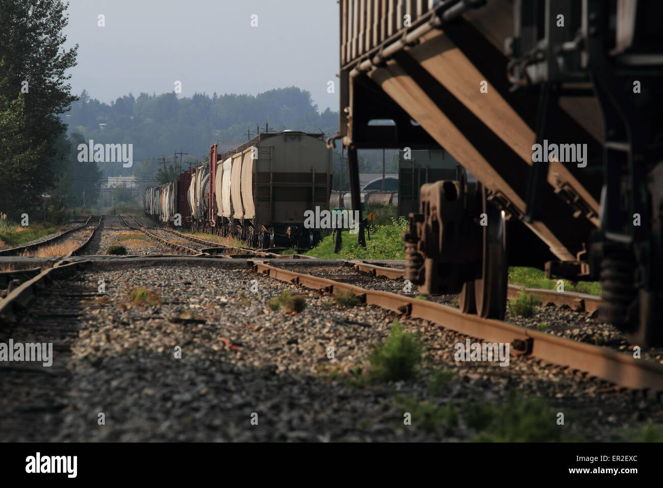 Railway Cars at rest in Rail Yard. Stock Photo