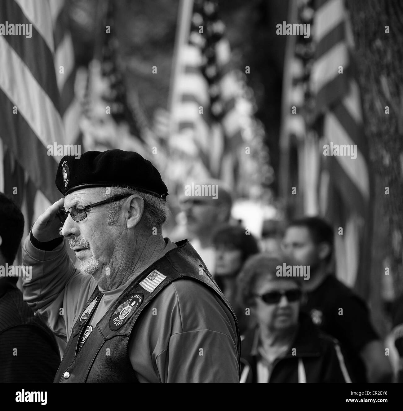 Le Mars, IOWA, USA. 25th May, 2015. A veteran salutes during the