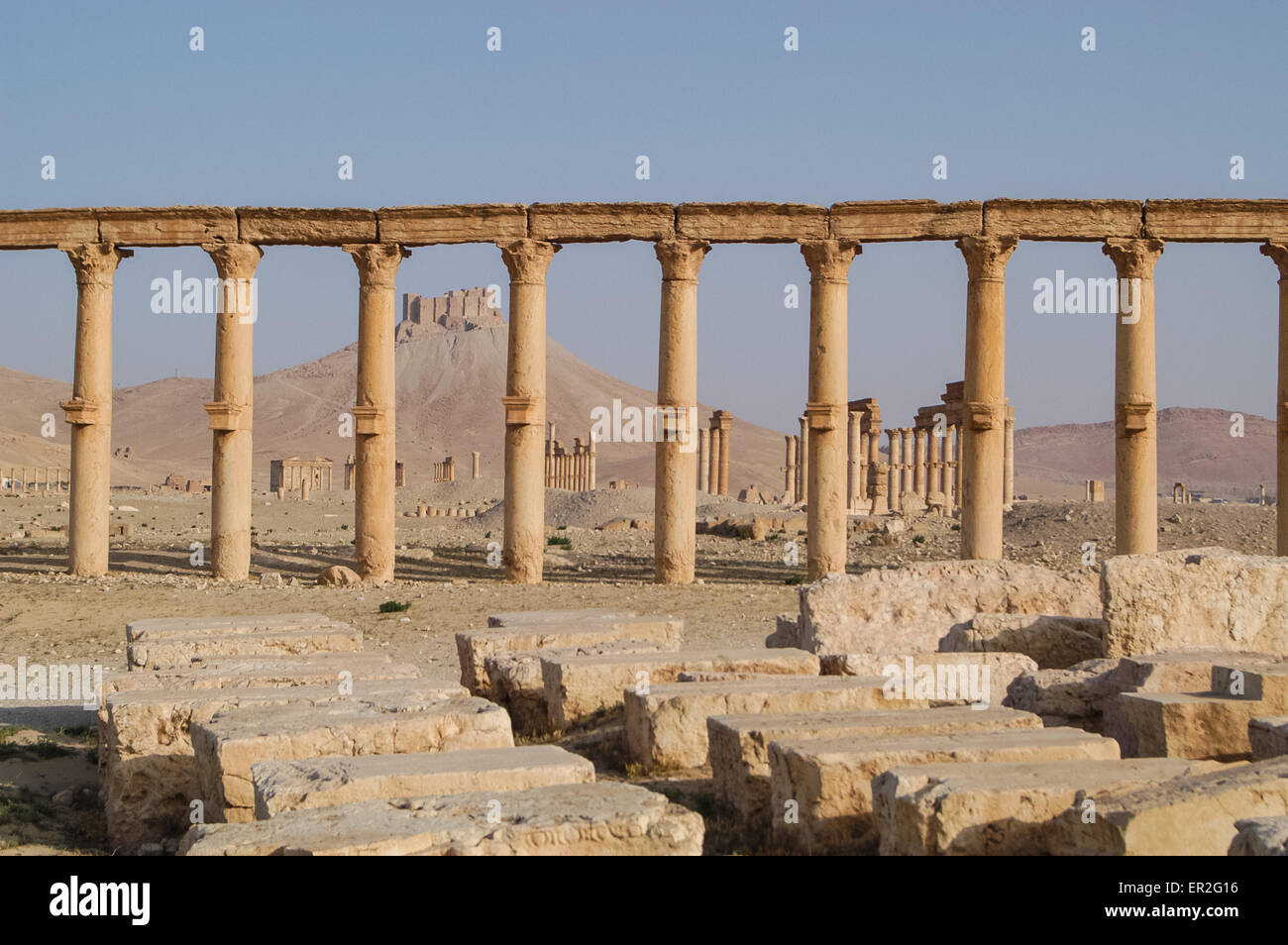 Ancient ruin city of Palmyra in Syria a UNESCO world heritage site of ...