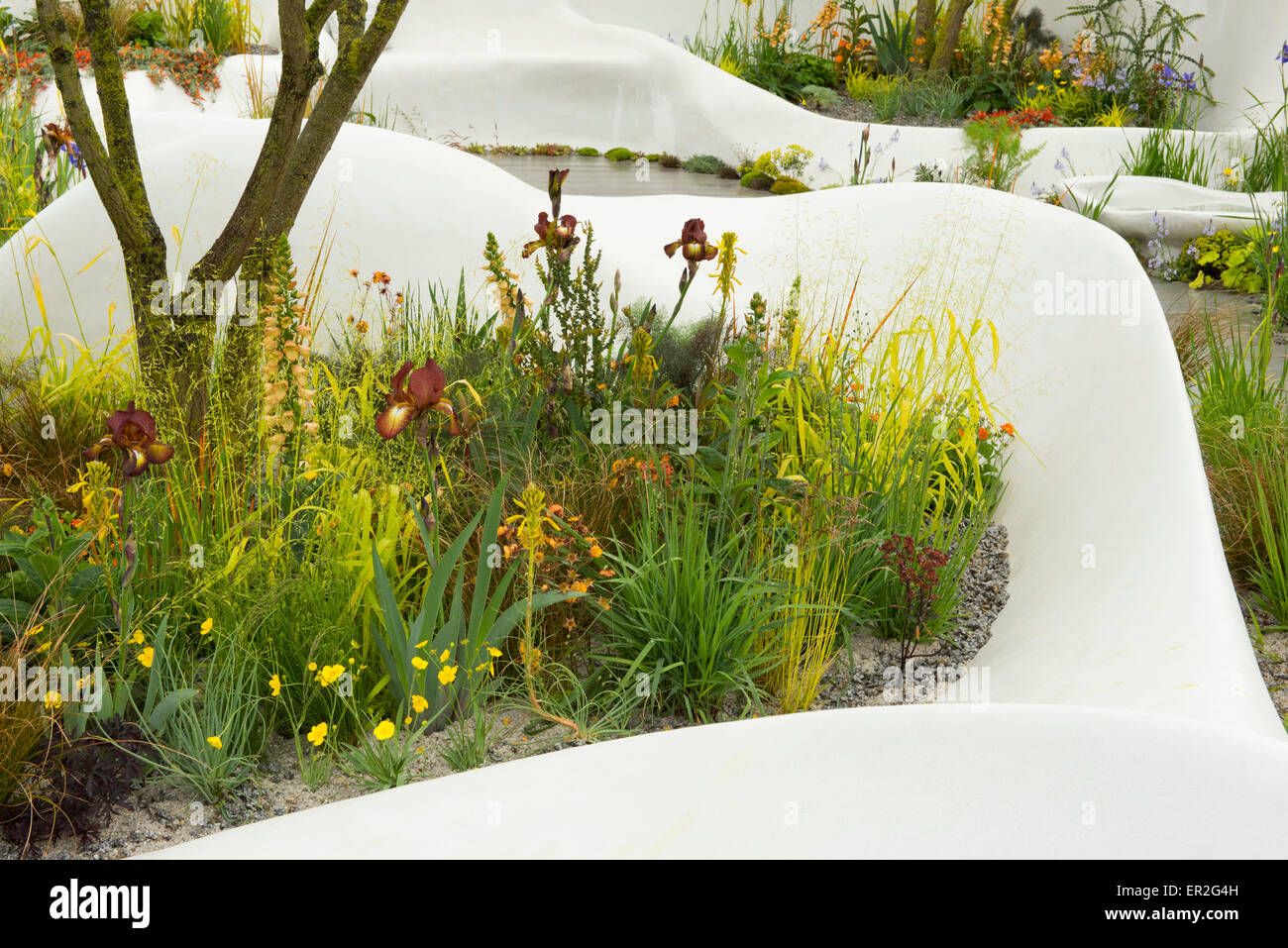 The Pure Land Foundation Garden in the Fresh Gardens category designed by Fernando Gonzalez at The RHS Chelsea Flower Show 2015. Stock Photo
