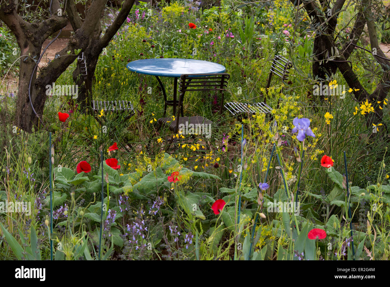 A Perfumer's Garden in Grasse at The Chelsea Flower Show sponsored by L'Occitane. Stock Photo
