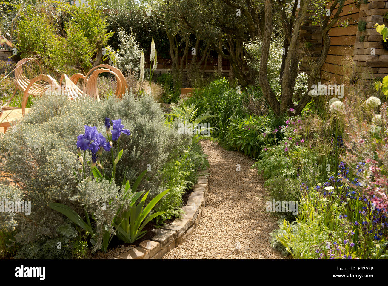 A curved gravel path running through borders in the Royal Bank of Canada Garden designed by Mathew Wilson at The RHS Chelsea Flo Stock Photo