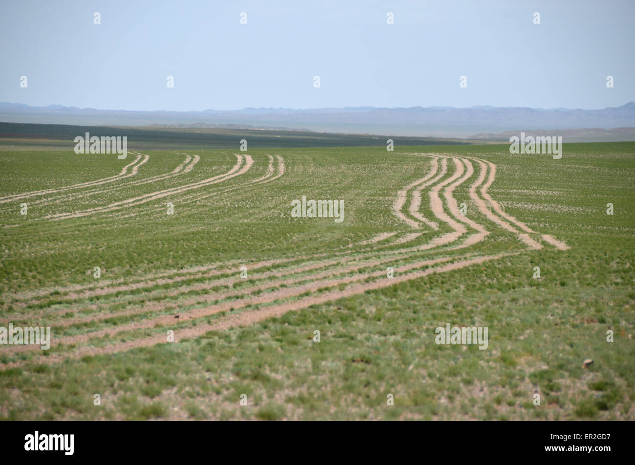 Tracks in western Mongolia, Khovd province. Stock Photo