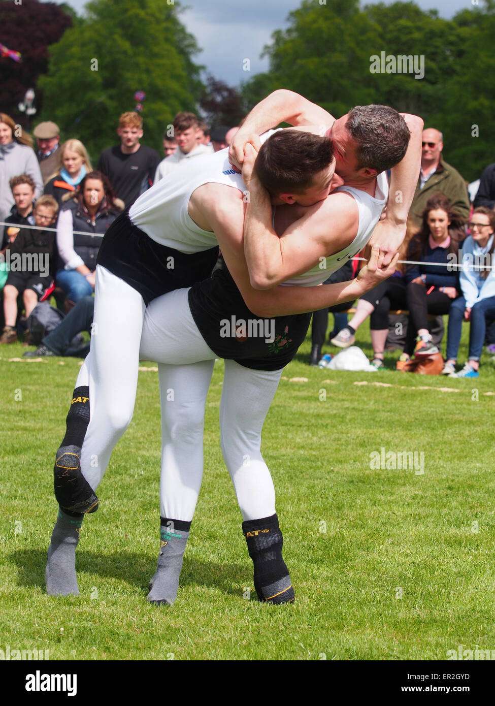 Bywell, UK. 25th May, 2015. Cumberland and Westmorland Wrestling competition at the Northumberland County Show, a traditional agricultural show with displays of livestock, produce and craft from the local area. Cumberland Wrestling is an ancient and well-practised tradition in the north country area of England. Credit:  AC Images/17�Թ����� Live News Stock Photo