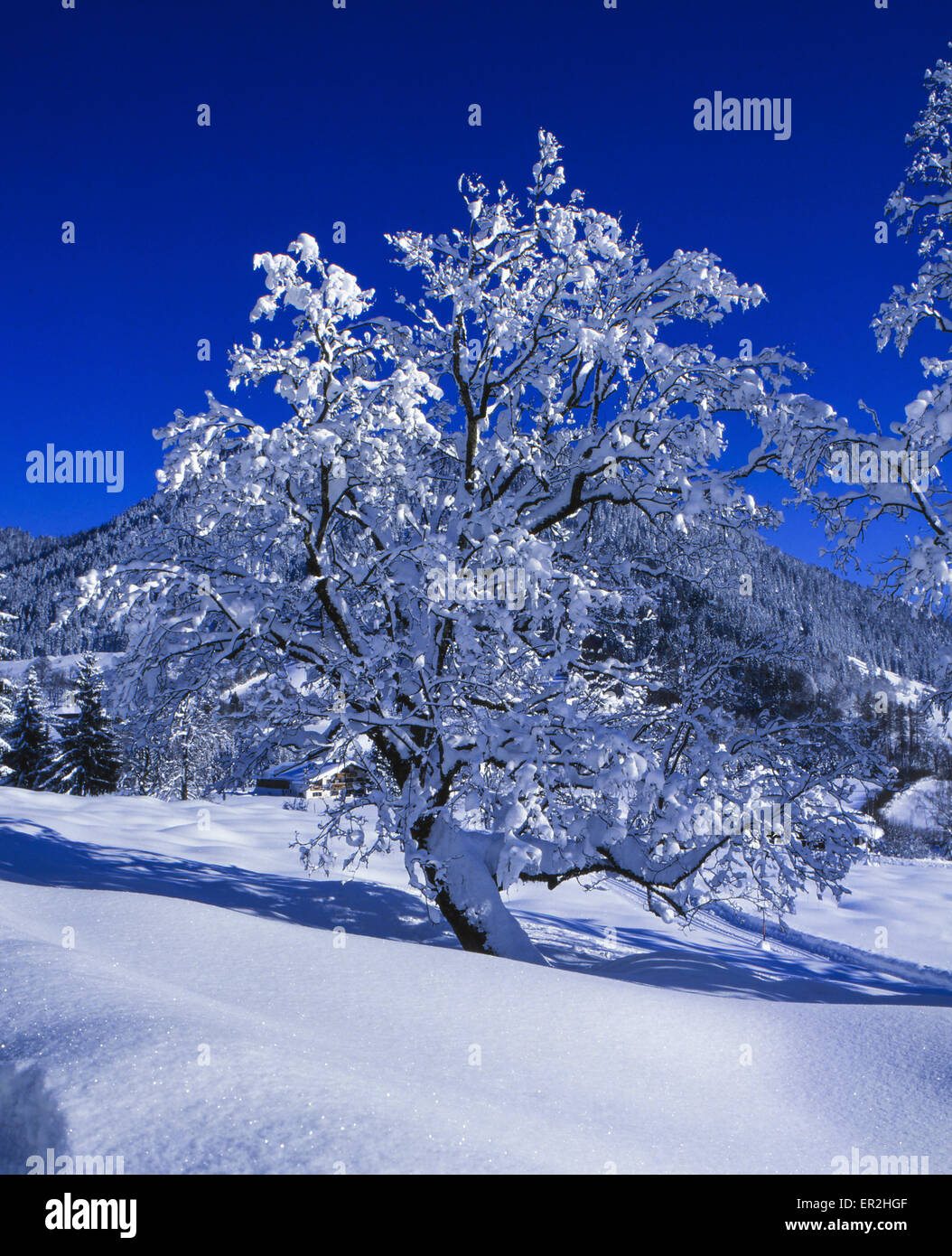 Schoene Winterlandschaft mit Neuschnee Stock Photo