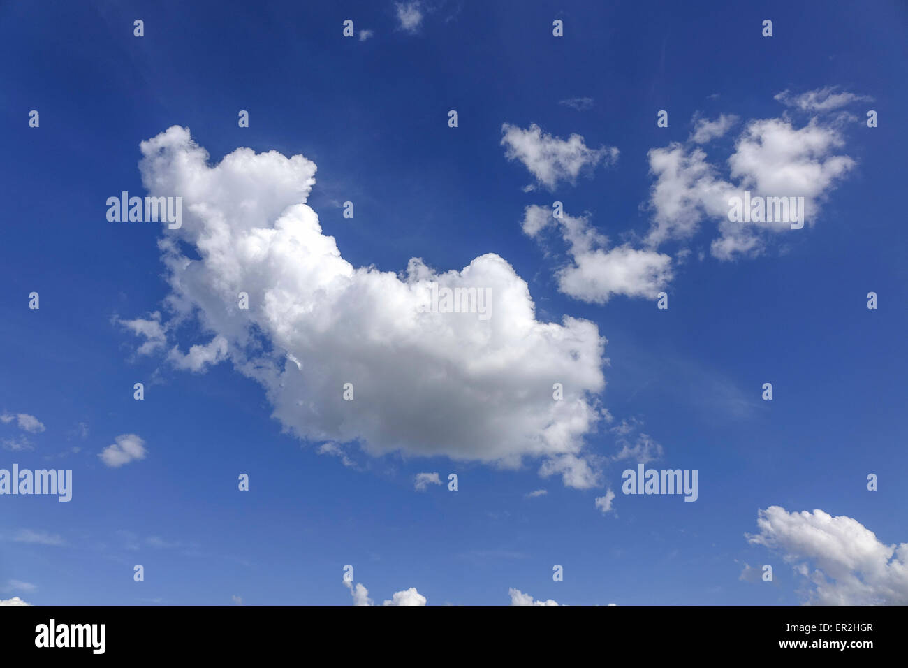 Cumuluswolken am blauen Himmel, Cumulus clouds against a blue sky, .blue and white, Cirrocumulus, cloud, formations, formation,  Stock Photo