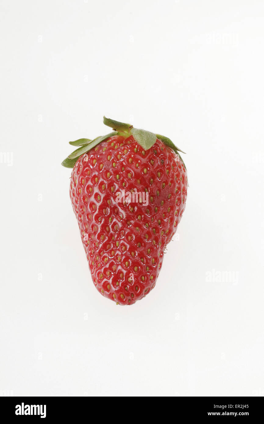 Erdbeere, Food, Lebensmittel, Obst, Rosengewaechs, Fruechte, Sammelnussfrucht, Gartenerdbeere, Fragaria ananassa, rot, fruchtig, Stock Photo