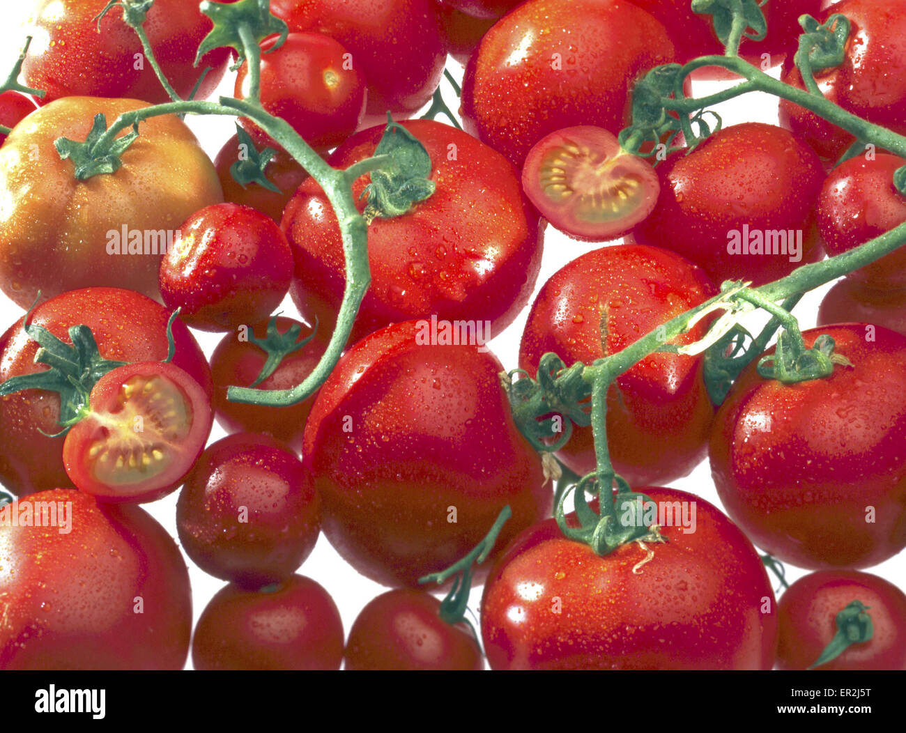 Strauchtomaten Lycopersicon Esculentum Still Life Tomaten