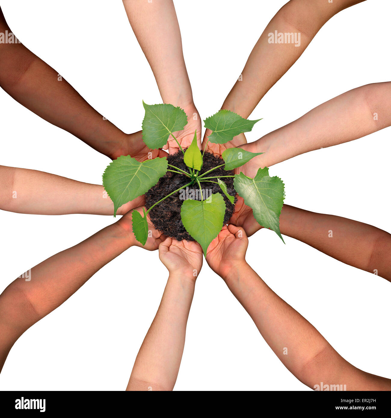 Community collaboration and cooperation concept and social crowdfunding investment symbol as a group of diverse hands organized Stock Photo