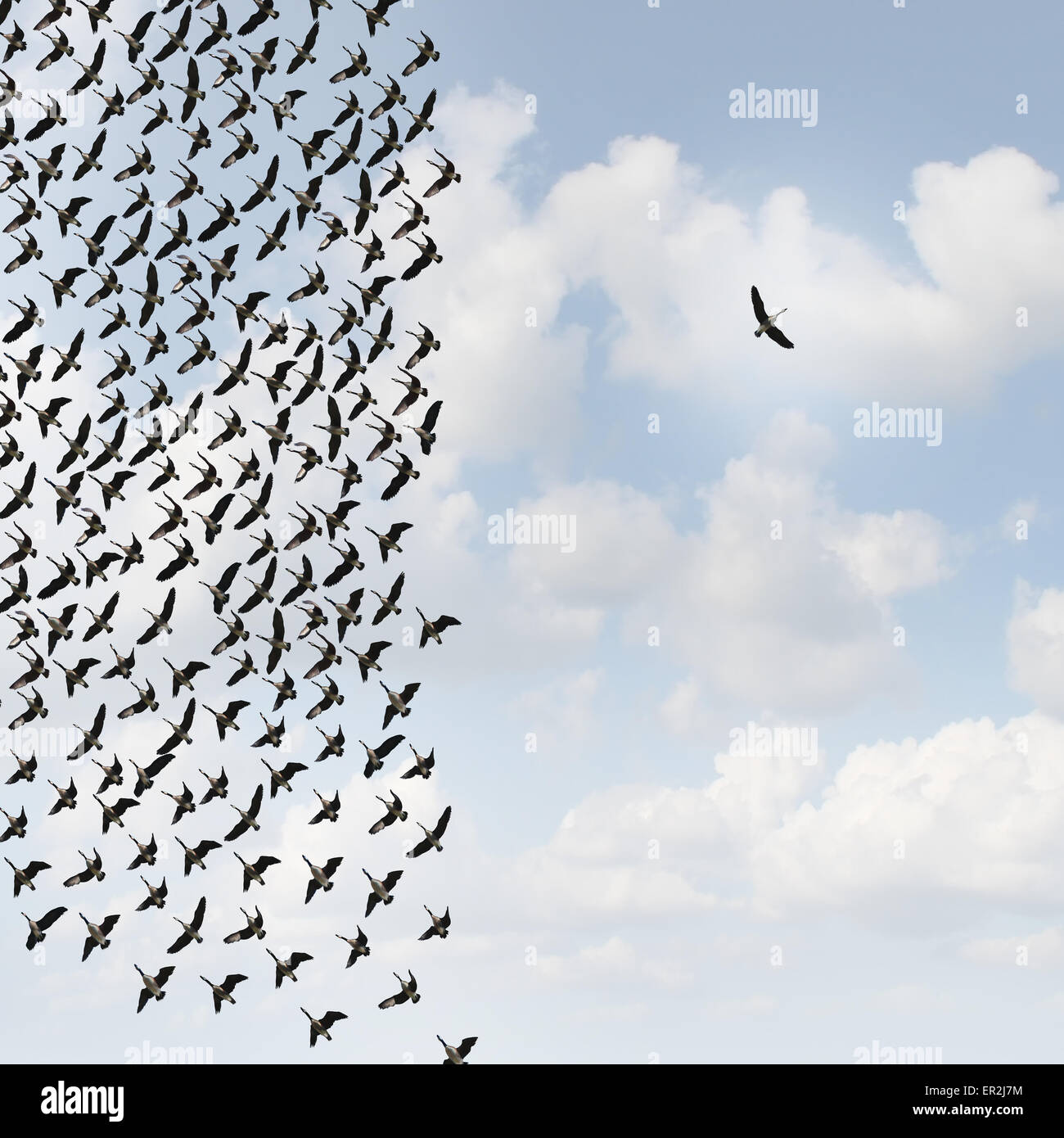 Independent thinker concept and new leadership concept or individuality as a group of flying geese with one individual bird going in the opposite direction as a business symbol for innovative thinking and as a different nonconformist maverick. Stock Photo