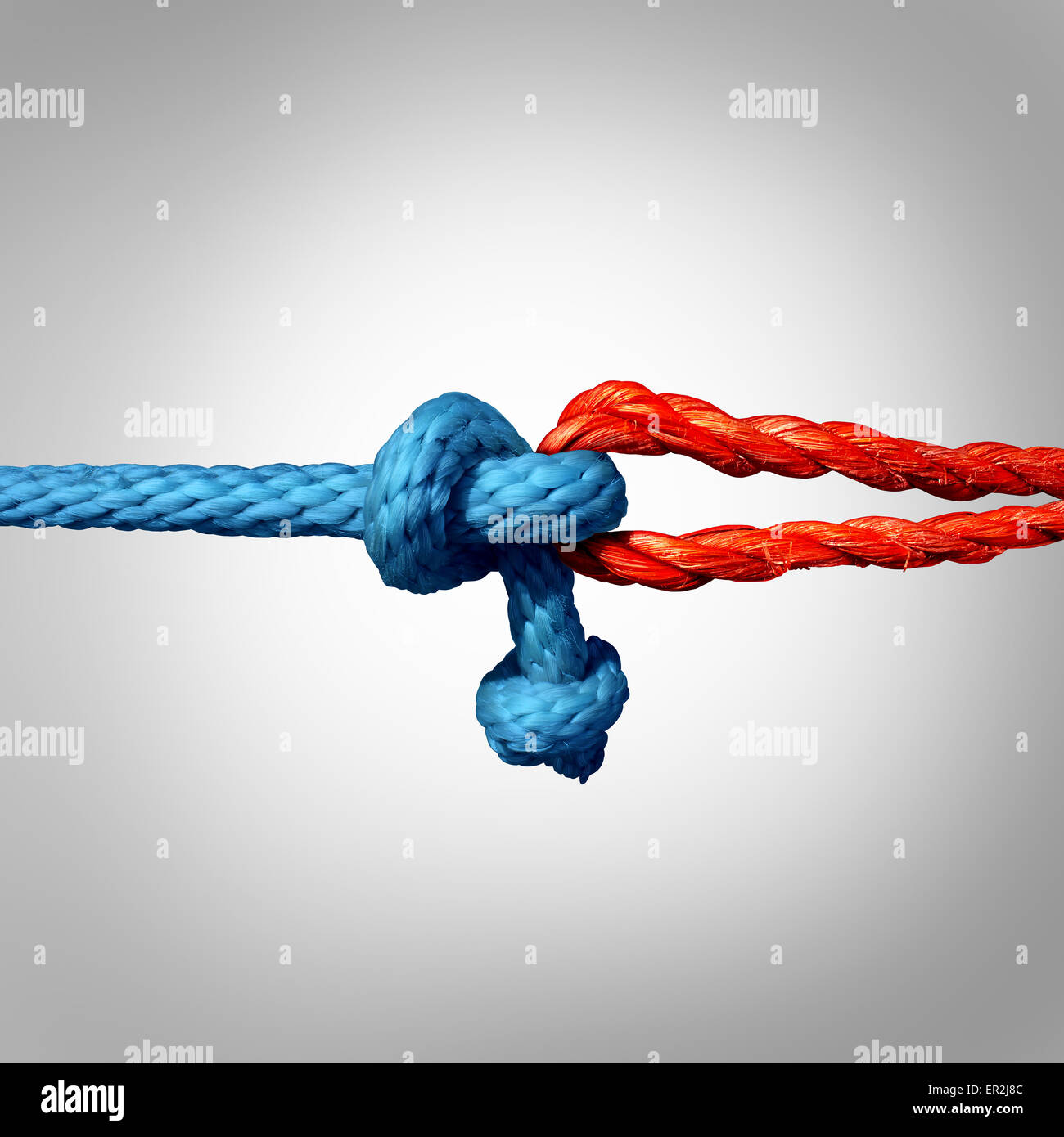 Connected concept as two different ropes tied and linked together as an unbreakable chain as a trust and faith metaphor for dependence and reliance on a trusted partner for support and strength. Stock Photo