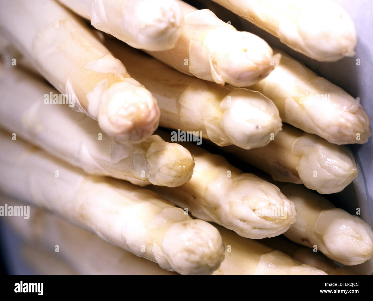 Weisser Spargel Stock Photo