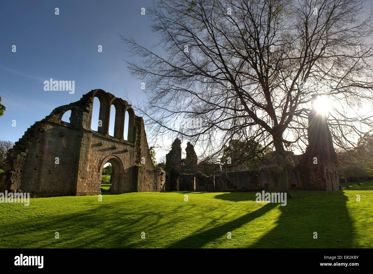 Fountains Abbey, one of the largest ruined Cistercian monasteries in England, World Heritage Site,  Ripon North Yorkshire UK GB Stock Photo
