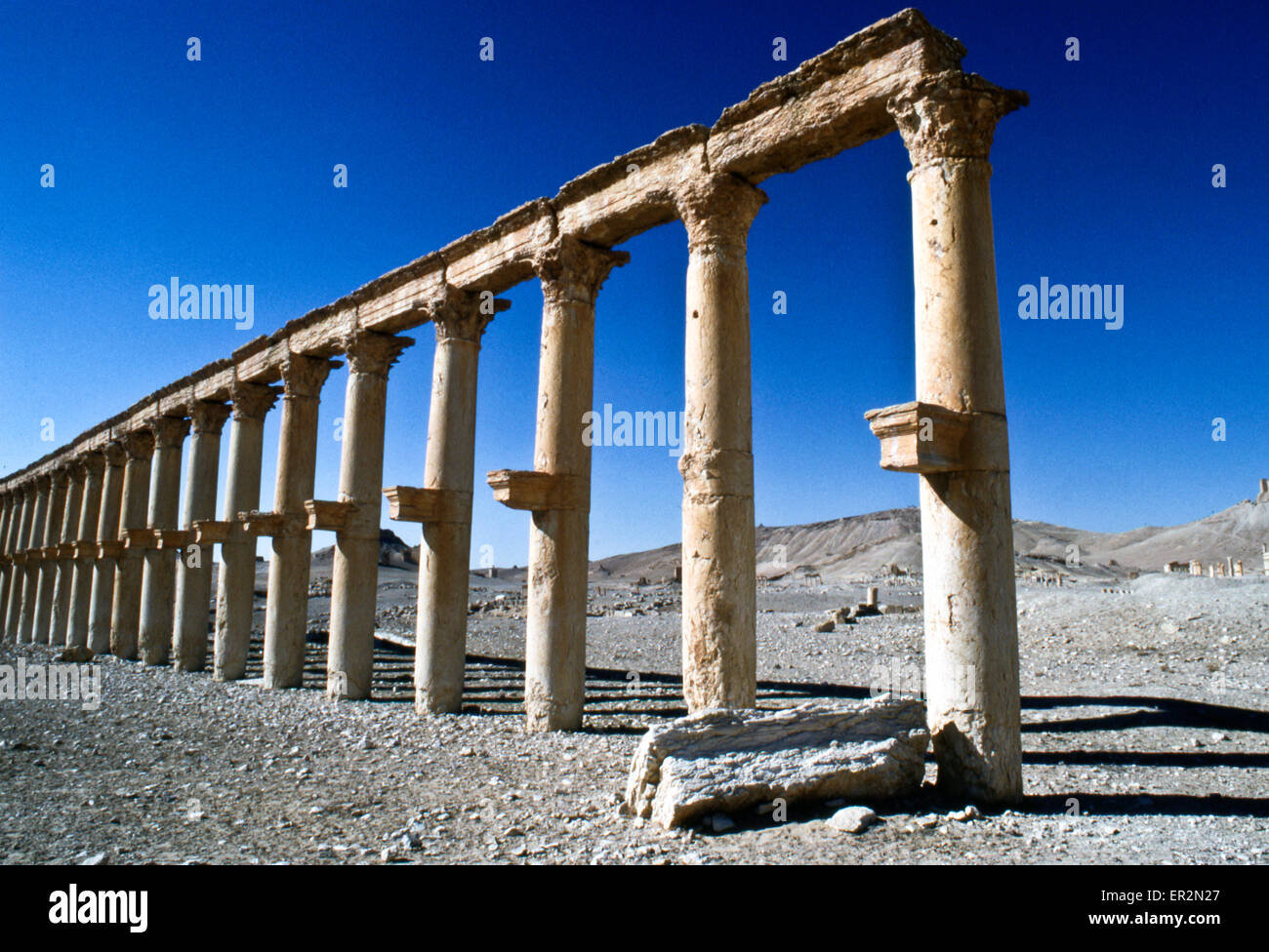 Colonnade at Palmyra, Syria Stock Photo