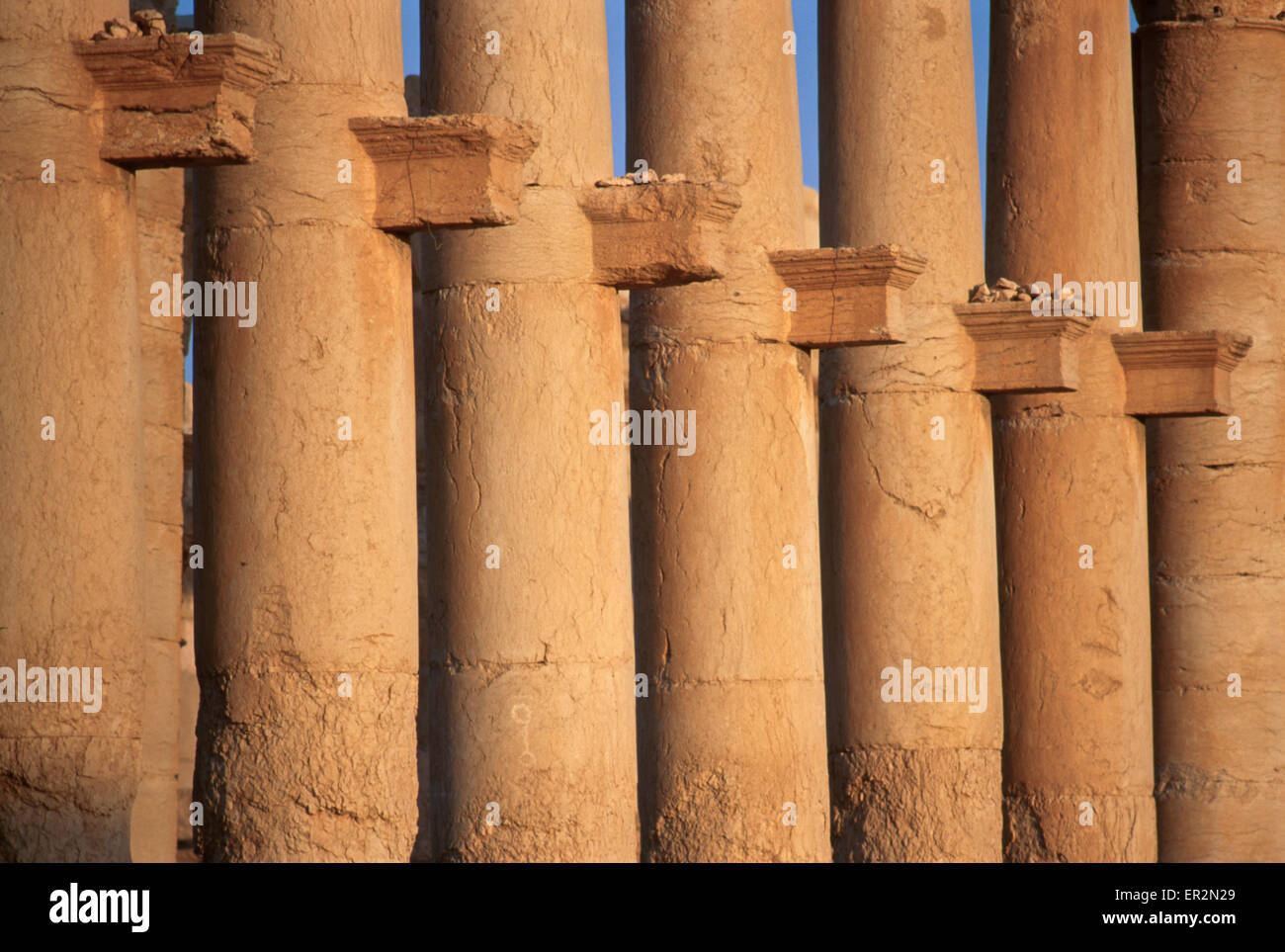 Closeup of the Great Colonnade, Palmyra, Syria. Stock Photo