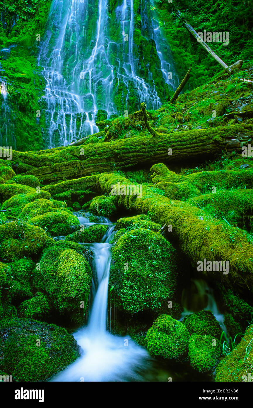 Lower Proxy Falls in Proxy Falls state park in the Three Sisters Wilderness Stock Photo