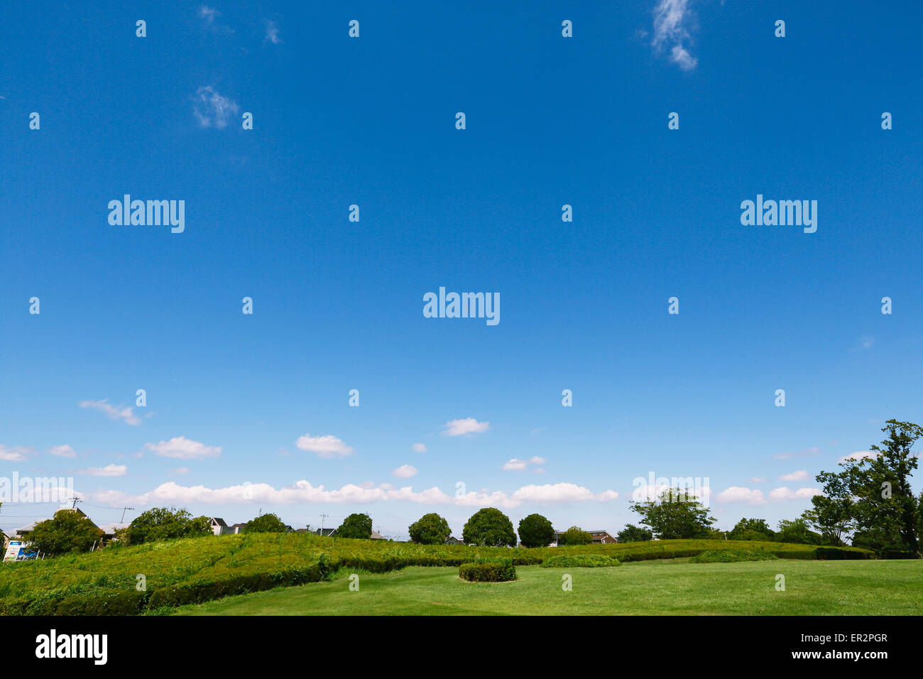 City park and blue sky Stock Photo - Alamy