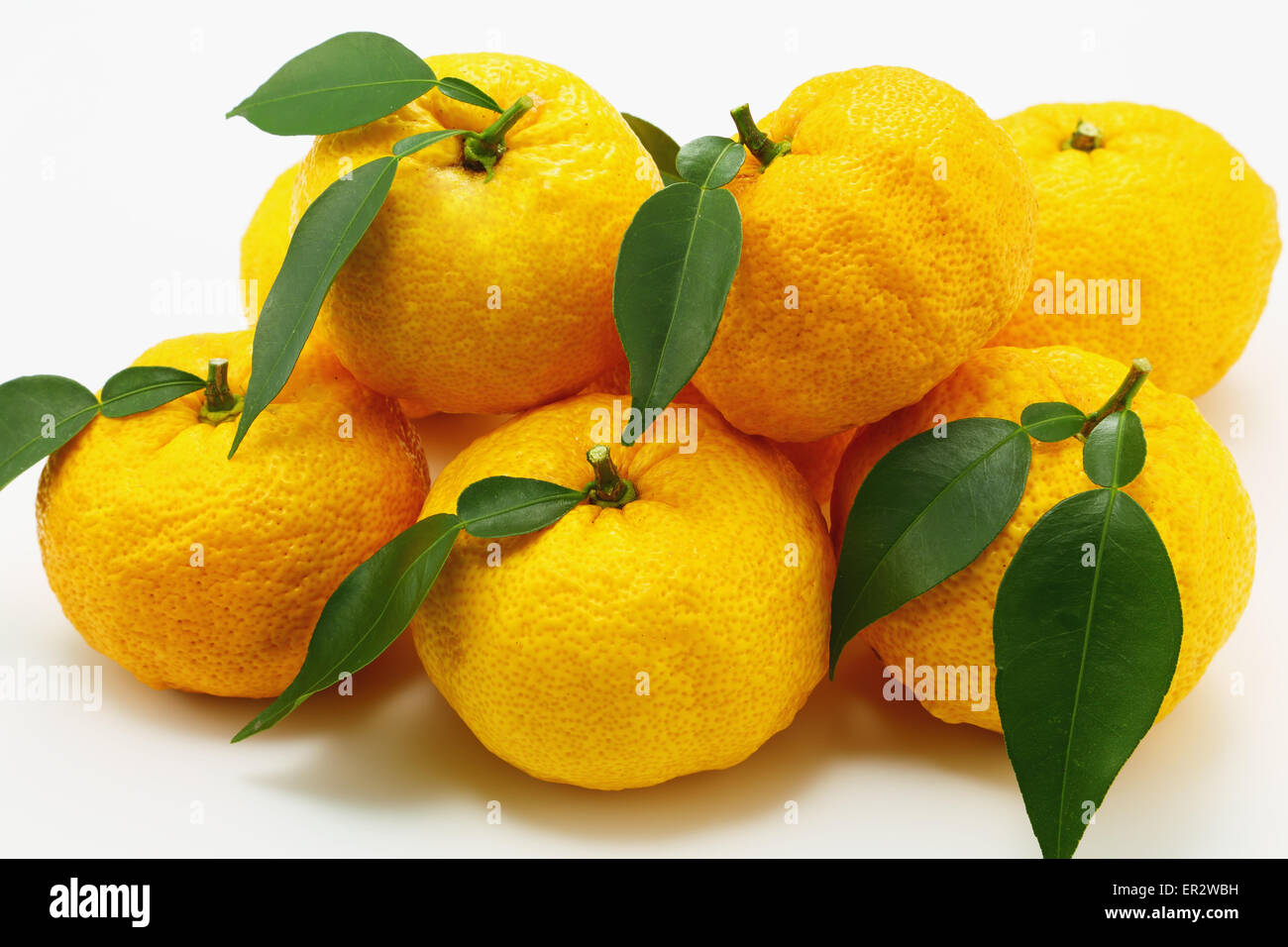 Yuzu Citrus Fruit Hi res Stock Photography And Images Alamy yuzu-citrus-fruit-hi-res-stock-photography-and-images-alamy
