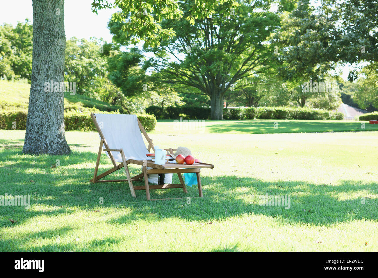 Deck chair in a city park Stock Photo - Alamy
