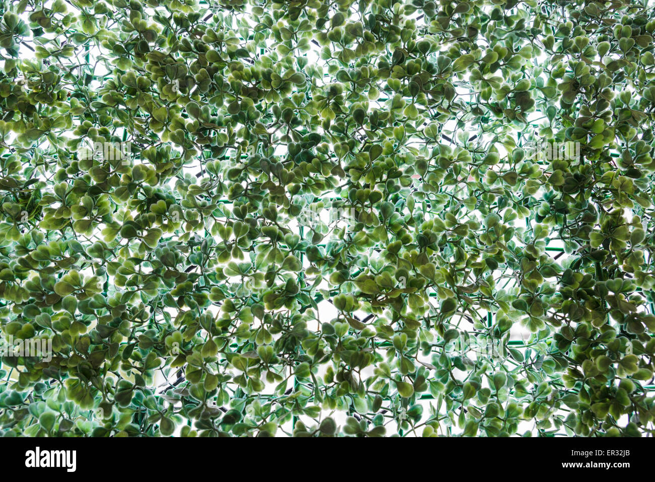 fake plant on wire fence for abstract background Stock Photo Alamy