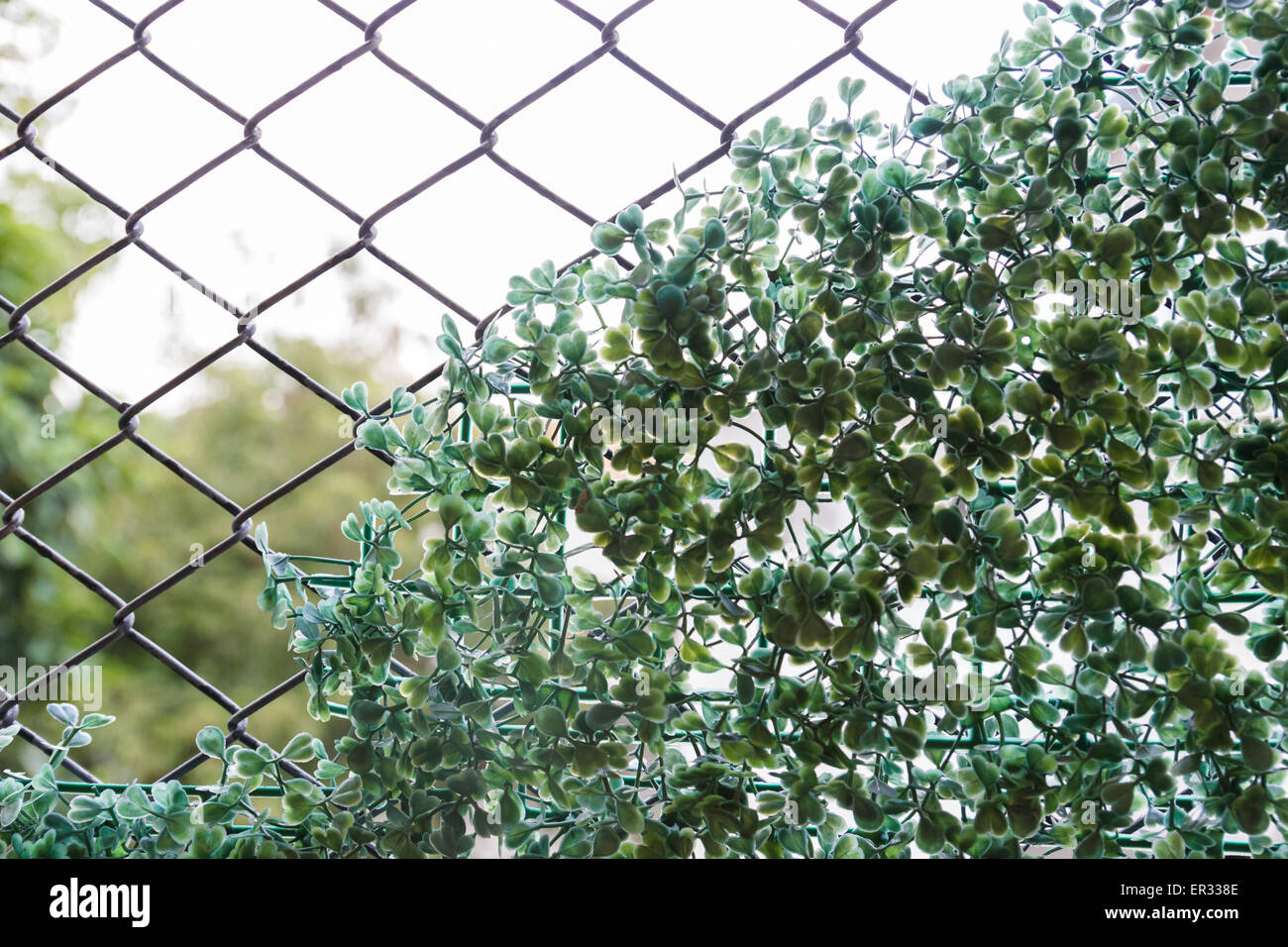 fake plant on wire fence for abstract background Stock Photo Alamy