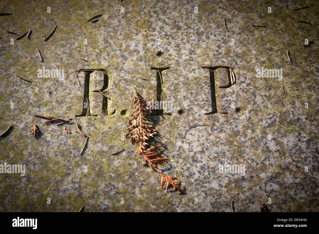 Europa, Deutschland, Koeln, auf dem Melatenfriedhof, Grabplatte mit der Inschrift R.I.P. -  Rest in Peace, Ruhe in Frieden. -    Stock Photo