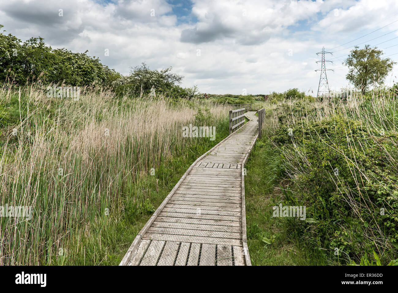 A wooden walkway running through Wat Tyler Country Park in Pitsea, Essex. Stock Photo