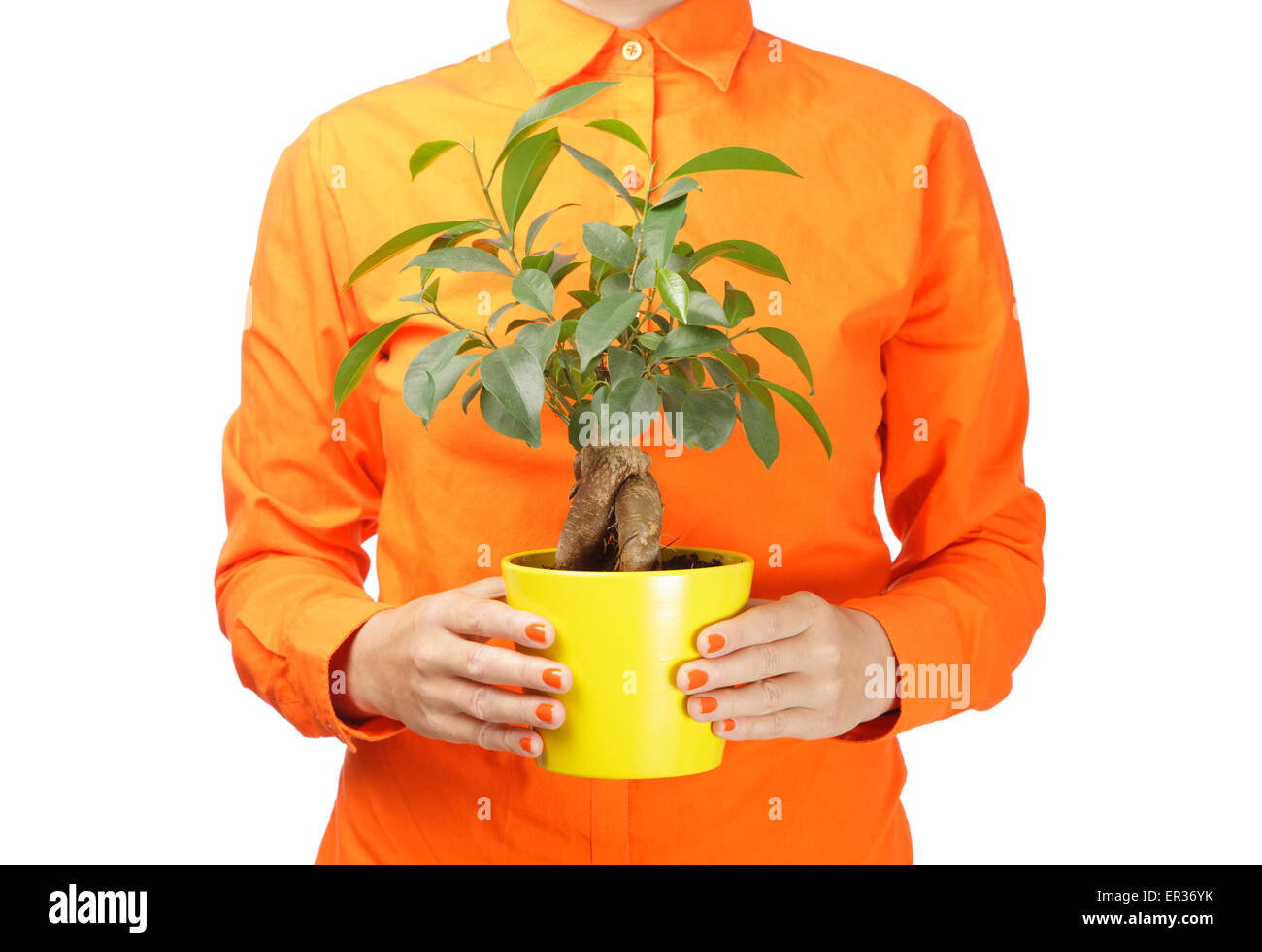 Woman holding a plant Stock Photo - Alamy