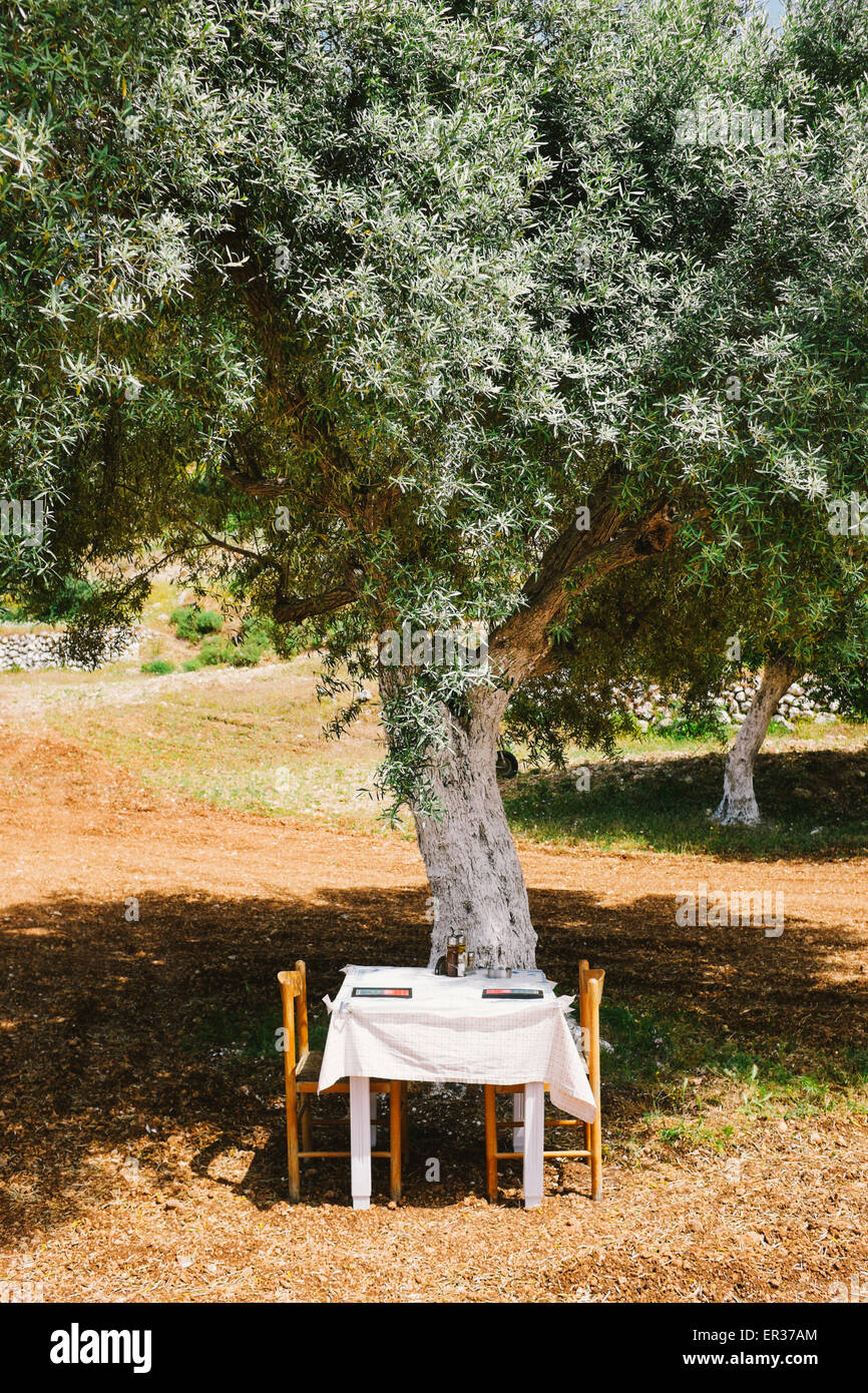 A Table under an olive tree Stock Photo