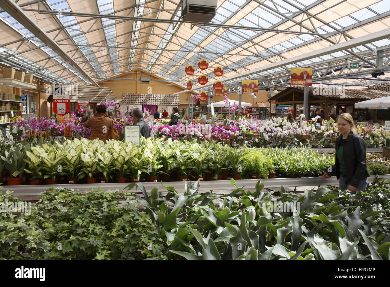 Gartencenter hi-res stock photography and images - Alamy