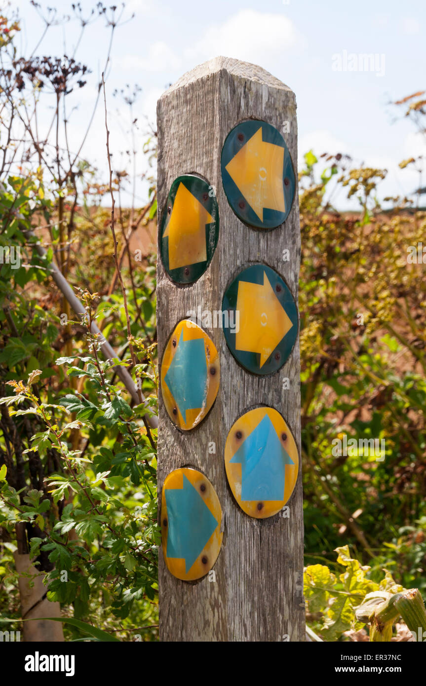 Large number of waymark arrows on a sign in the English countryside. Stock Photo