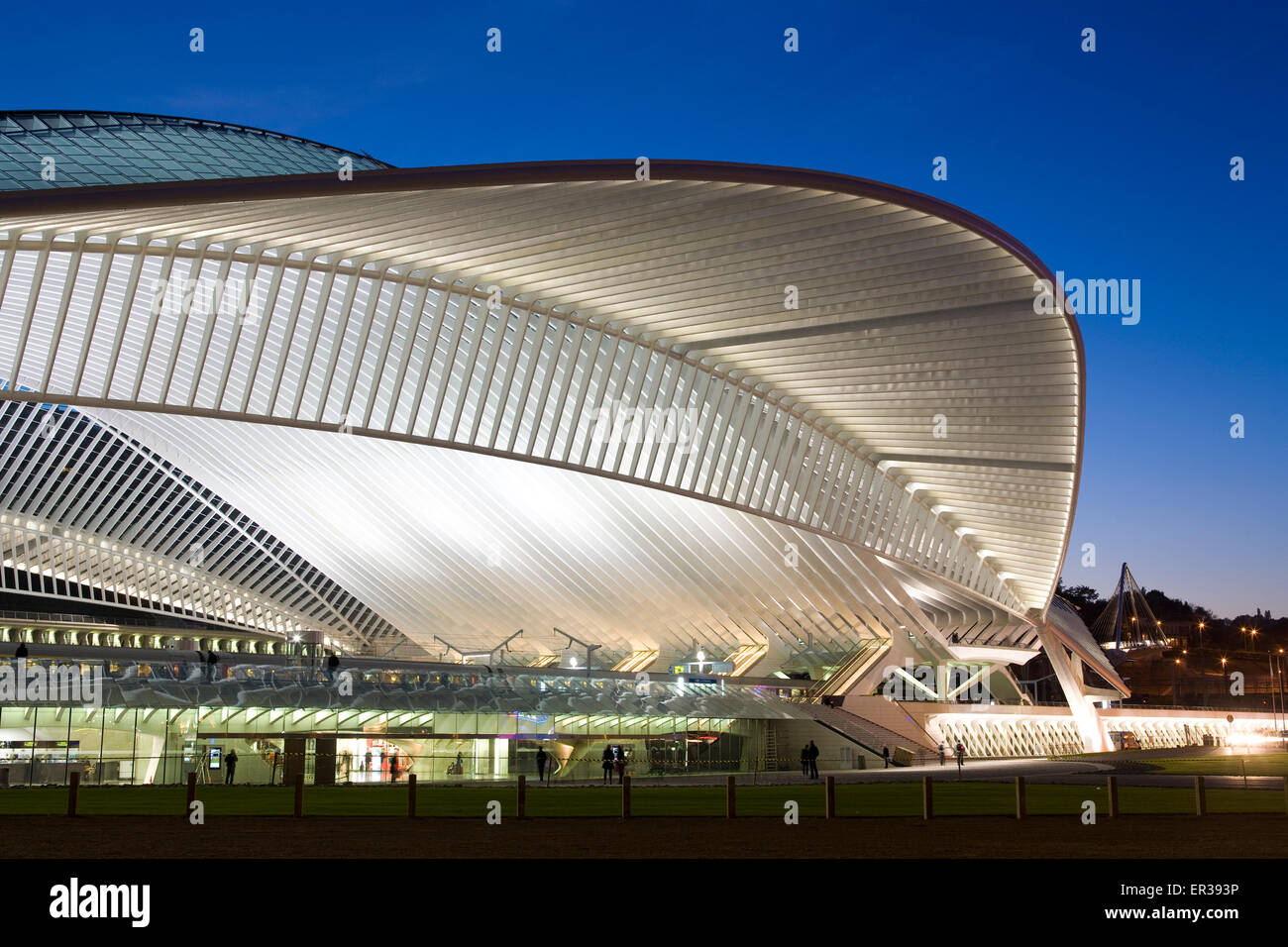 Europe, Belgium, Liege, railway station Liege-Guillemins, architect Santiago Calatrava  Europa, Belgien, Luettich, Bahnhof Luett Stock Photo