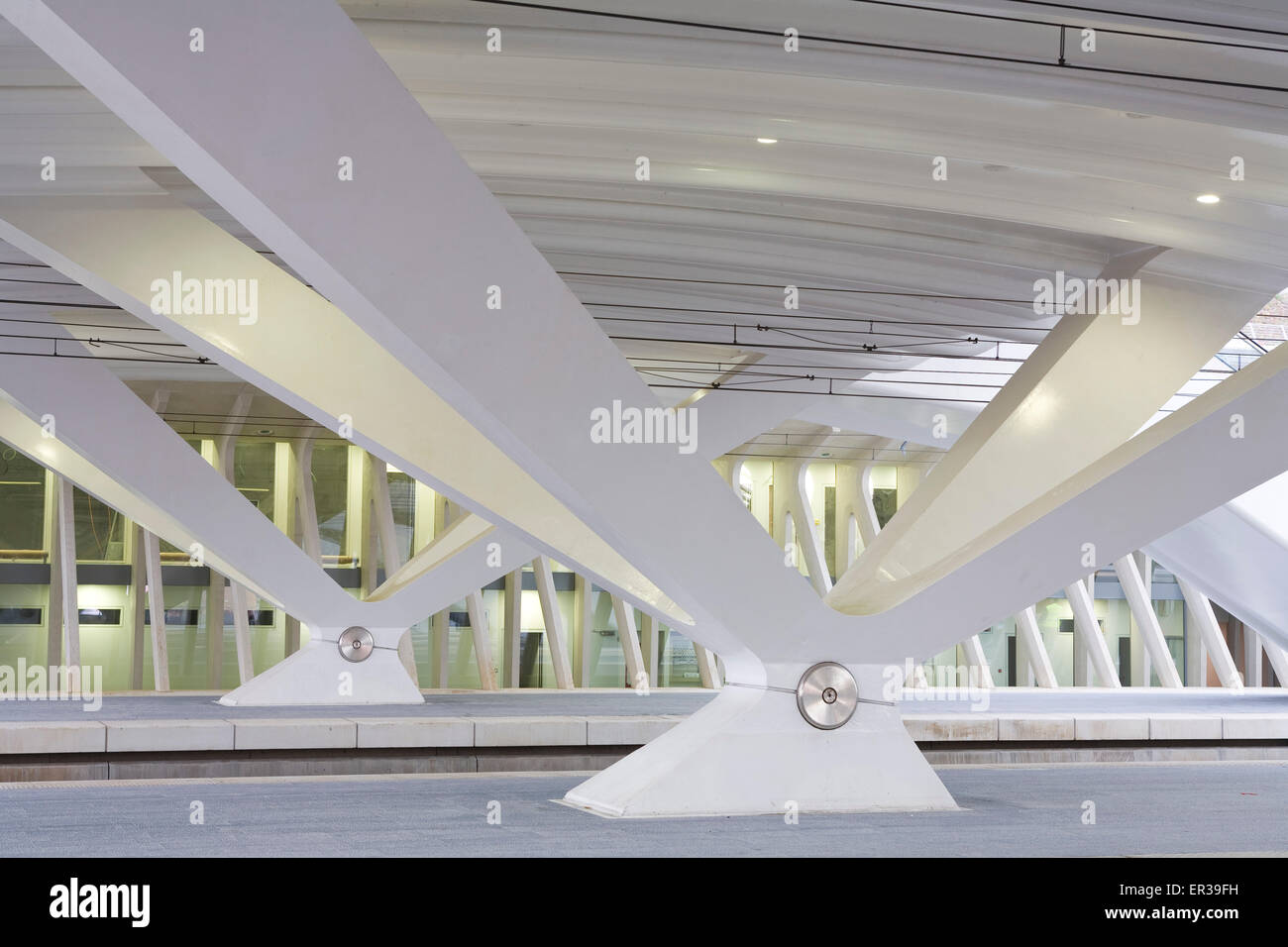 Europe, Belgium, Liege, props at the railway station Liege-Guillemins, architect Santiago Calatrava  Europa, Belgien, Luettich,  Stock Photo