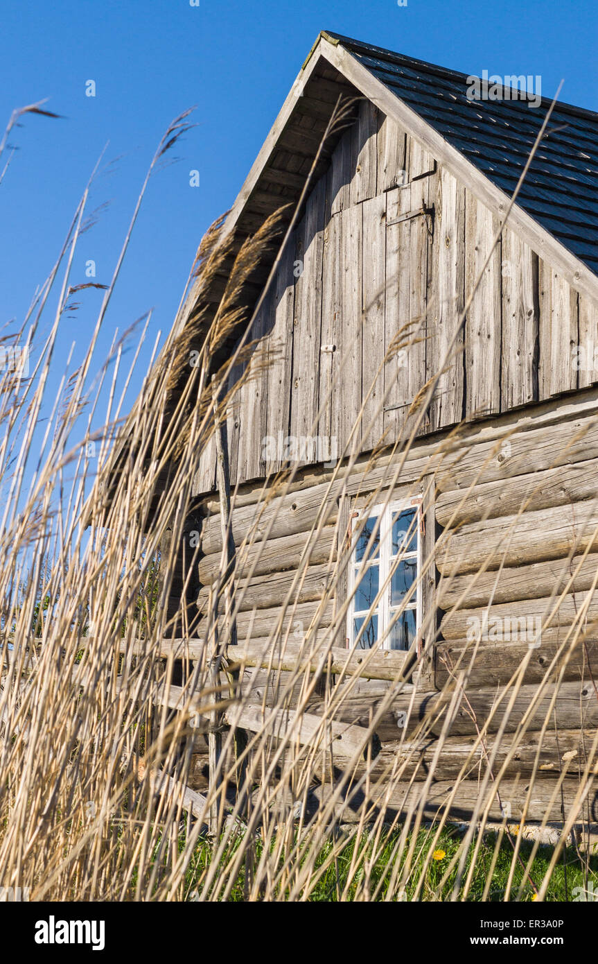 Old wooden rustic house and hedge through reed Stock Photo - Alamy