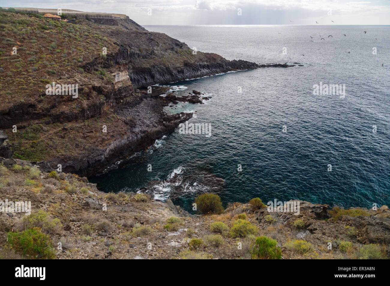 Rocky coastline near Abama beach, Tenerife, Spain Stock Photo