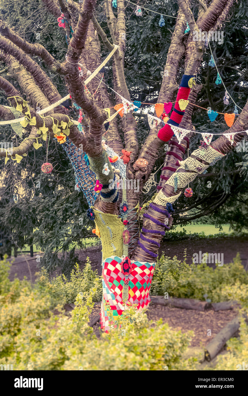 Yarn bombed tree Stock Photo