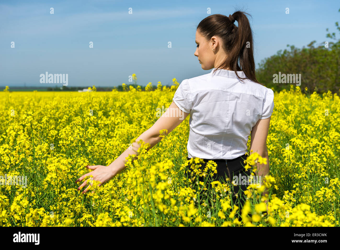 girl on a yellow flower field Stock Photo - Alamy