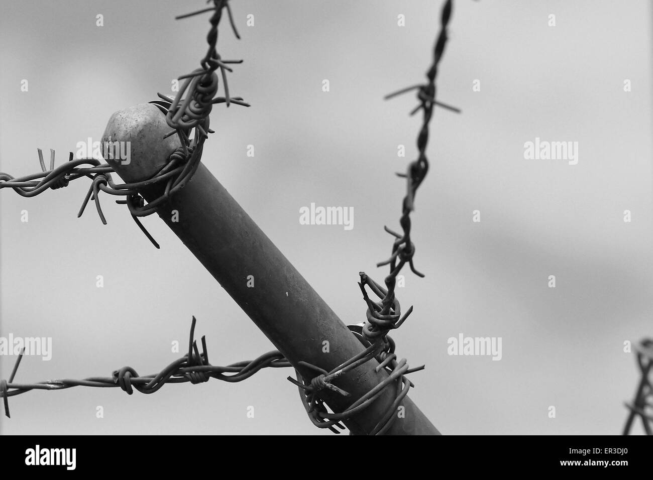 Prison post with barb wire in a detention camp Stock Photo